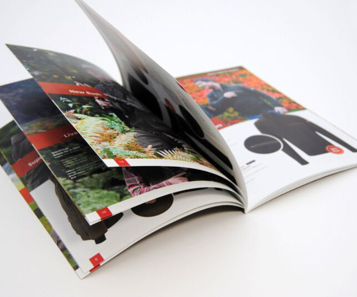 In catalogue